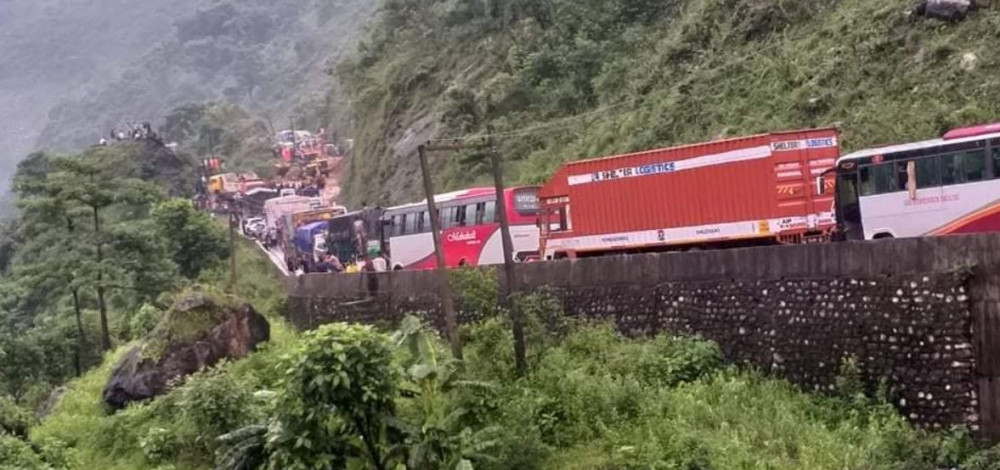 पृथ्वीराजमार्ग विस्तार : ४६६ रुख काटिने